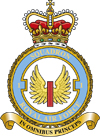 Fighter Squadron Crest