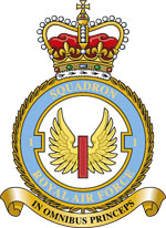 Fighter Squadron Crest