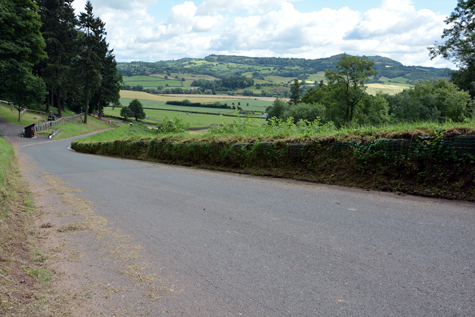 Bergkönig at Shelsley Walsh Track