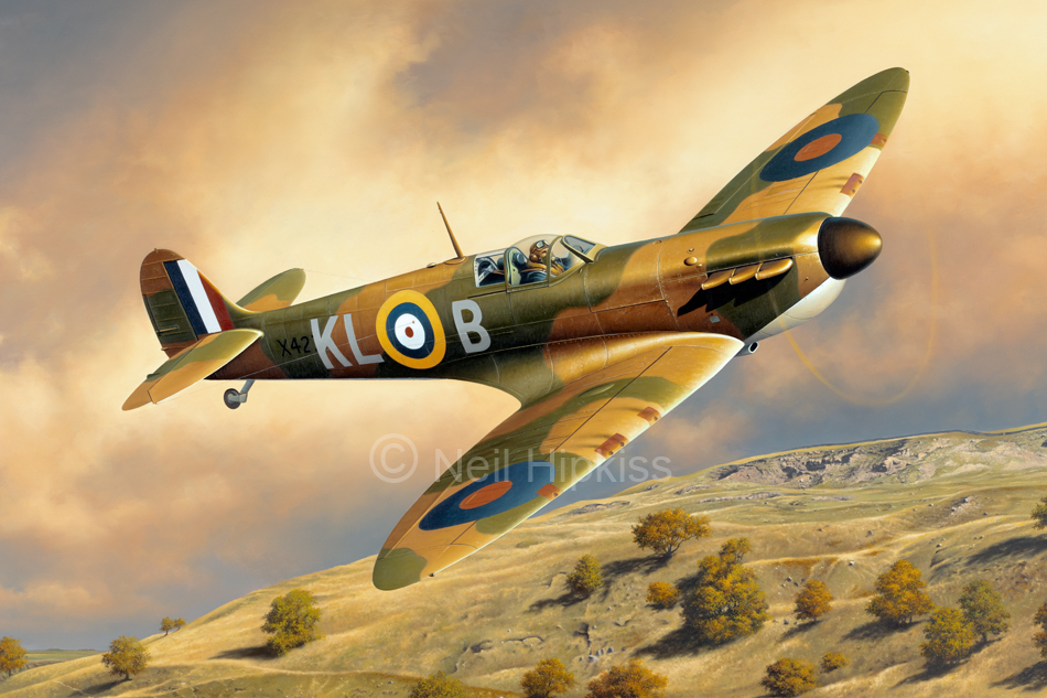 Aviation Art - A Kiwi In The Dales