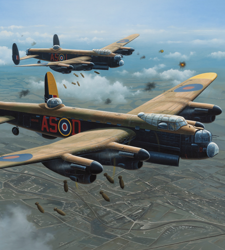 D-Dog Over Hildesheim