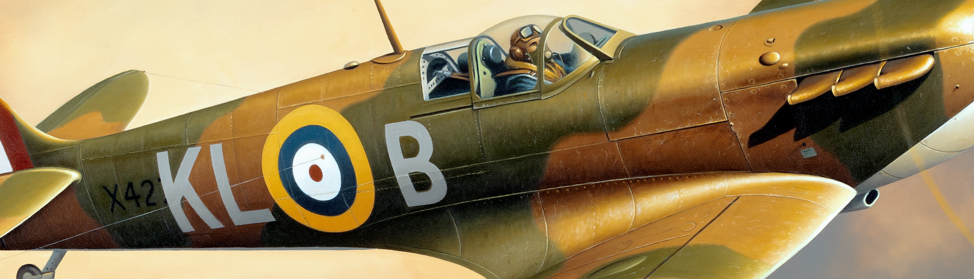 Aviation Art - A Kiwi In The Dales