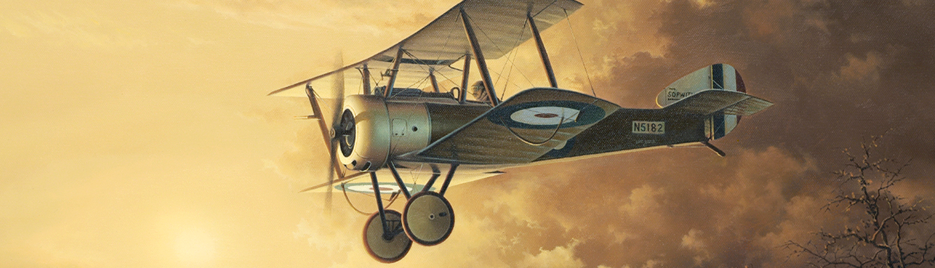 Aviation Art - Coming Home