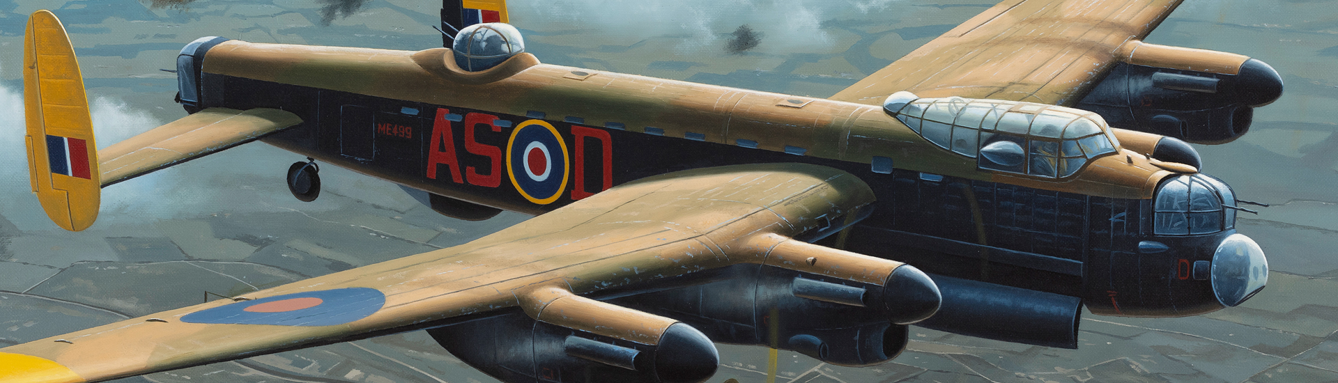 Aviation Art - D-Dog Over Hildesheim