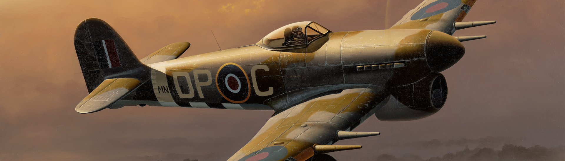 Aviation Art - Damn Proud Canadian