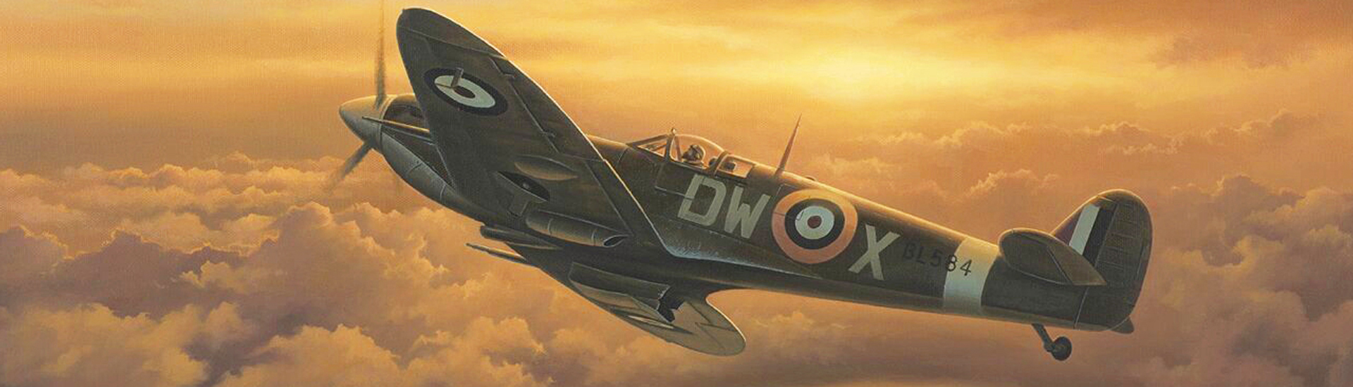 Aviation Art - Freedom