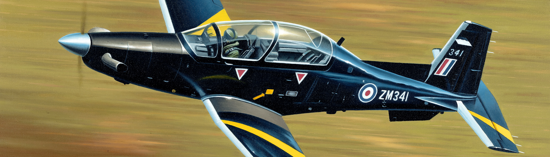 Aviation Art - D-Dog Over Hildesheim