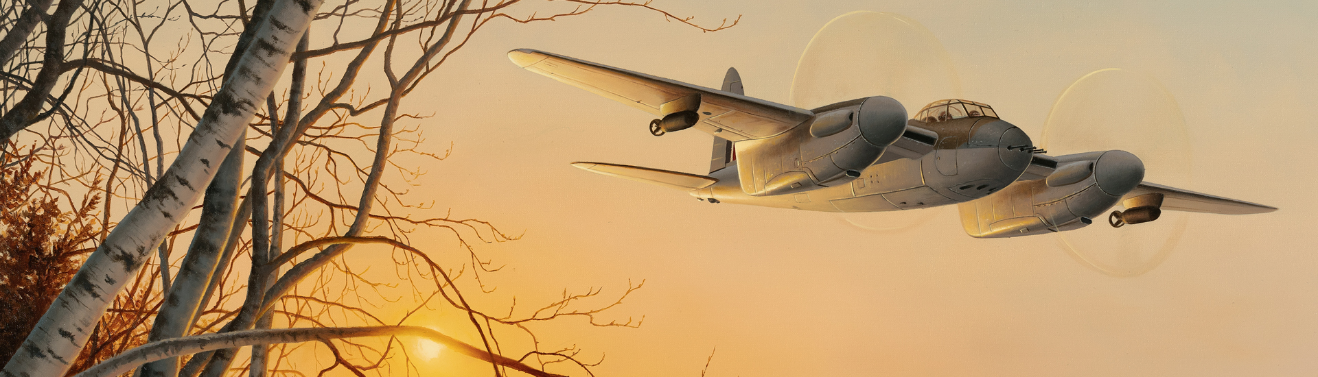 Aviation Art - Hugging The Treetops