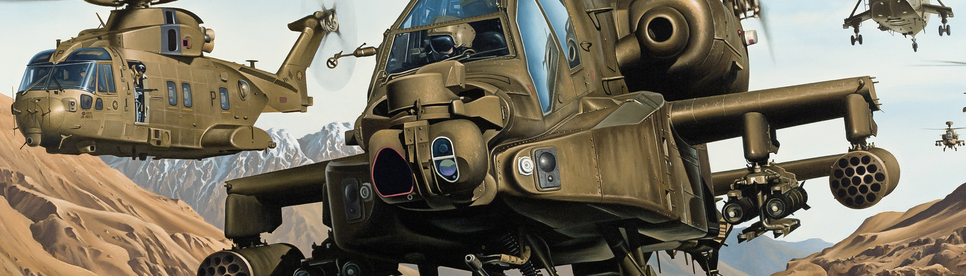 Aviation Art - Joint Force