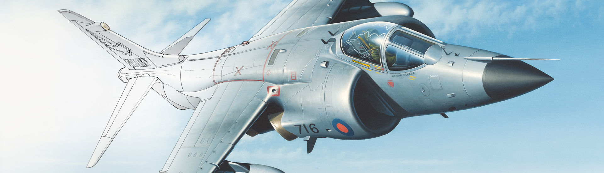 Aviation Art - Sea Harrier Transision