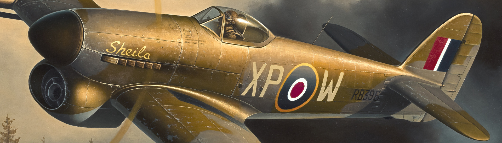 Aviation Art - Warbird RB396